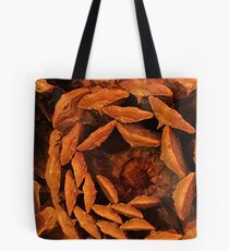 Bottom of a Pine Cone Tote Bag