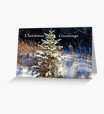 All Dressed For Christmas,Card Greeting Card