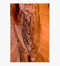 Zebra Slot Photographic Print