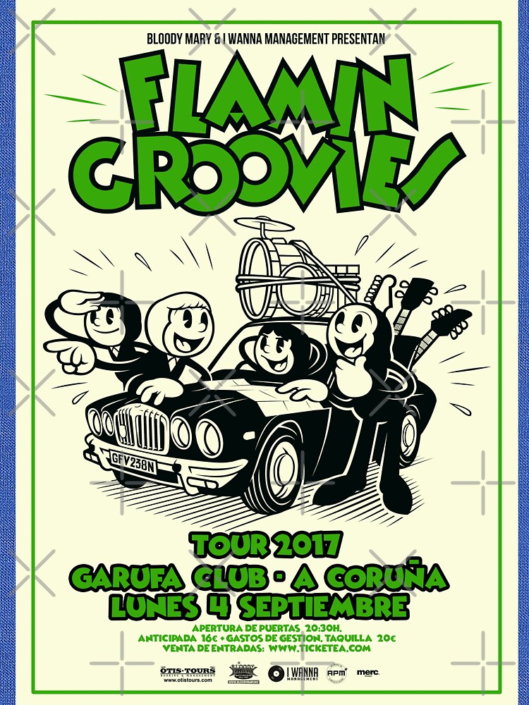 flamin groovies shirt