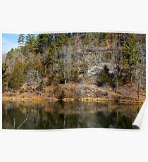 Black Bass Reflections Poster