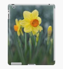 Neue Anfänge iPad-Hülle & Klebefolie