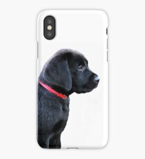 Black Labrador Puppy iPhone Case