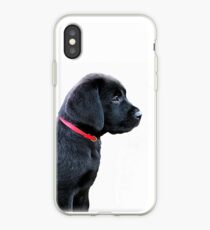 Black Labrador Puppy iPhone Case