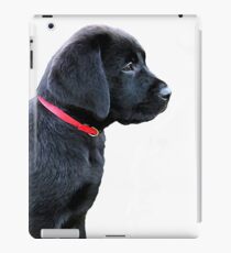 Vinilo o funda para iPad Cachorro labrador negro