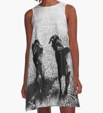 Friends - Black Labrador A-Line Dress