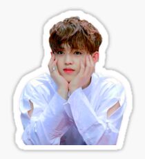 Scoups Sticker