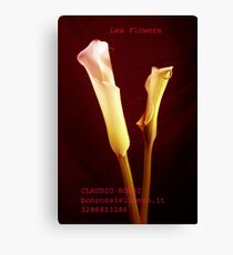 calle Canvas Print