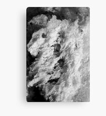 Salt Canvas Print
