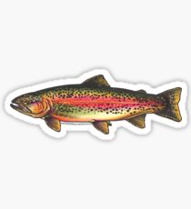 SSC Trout Sticker