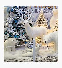 Snow Scene Photographic Print