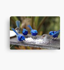 Bluey,s restaurant. Canvas Print