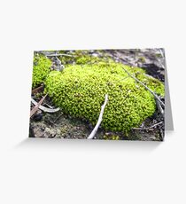 Moss of Tammin 2 Greeting Card