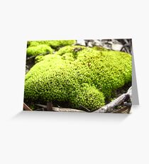 Moss of Tammin 3 Greeting Card