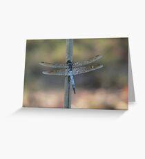 Ready For Take Off Greeting Card