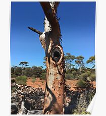 Outback Australia Poster