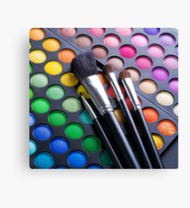 eye brush Canvas Print