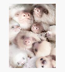Sloth Photographic Print