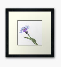 blue flower Framed Print
