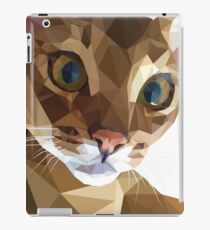 Abyssinian Cat iPad Case/Skin
