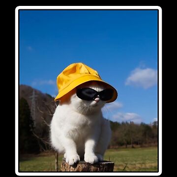 Bucket Hat Cat - Wearing a Sunglasses Meme Happy Kitten | Active T-Shirt