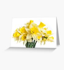 Daffodils Greeting Card