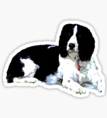 Cassie Sticker