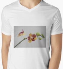 A stem of orchids Men's V-Neck T-Shirt