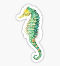 Spiny Green Seahorse Sticker
