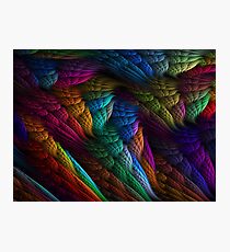 Color My World Photographic Print
