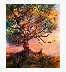 Sunset at Fox Mountain Photographic Print