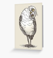 Owl Witness Greeting Card
