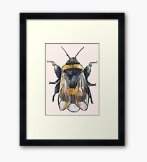 Bumble Framed Print