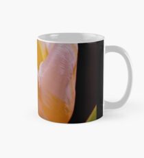 White And Yellow Tulip 2 Classic Mug