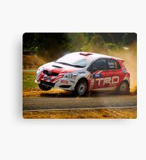 Neal Bates and Coral Taylor Metal Print