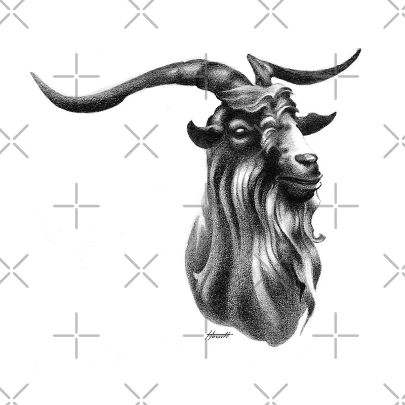 Billy Goat Head By Patricia Howitt Redbubble   Flat,800x800,075,f.u14 