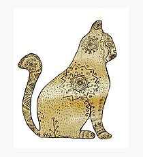 Lámina fotográfica Mandala Cat