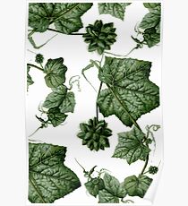 Crawling plant Poster
