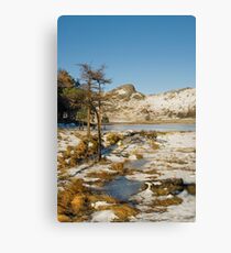 Across Blea Tarn - Lake District - Cumbria Canvas Print