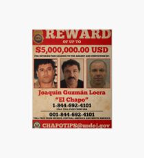 Lámina de exposición El Chapo quería