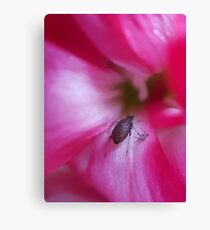 Tag You're It !! Canvas Print
