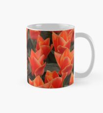 Keukenhof-Gärten, die Niederlande Tasse (Standard)