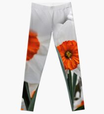 keukenhof gardens, the netherlands Leggings