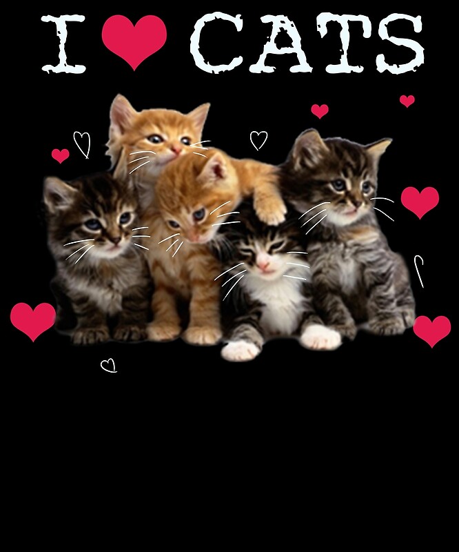 I Love Cats I Love Kittens Cat Lover T Shirt By Davidduong Redbubble