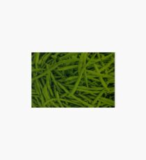 Green Beans Art Board