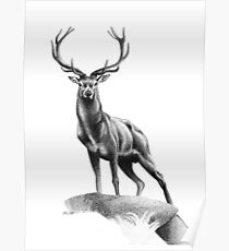 All Muscle - Red Deer Stag Poster