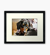 m&d Cooper May Framed Print