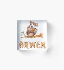 Arwen Owl Acrylic Block