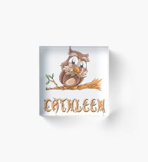 Cathleen Owl Acrylic Block