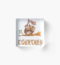 Courtney Owl Acrylic Block
